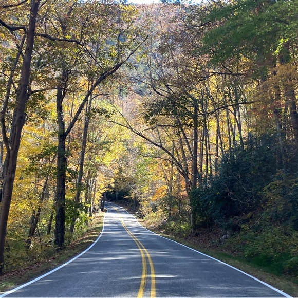 Thanks for a GREAT DAY!! 🥳❣️FLASH SALE HAS ENDED. 😑 - Picture 1 of 7